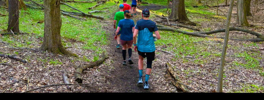 People trail running in the woods.