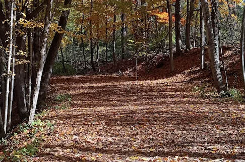 A fall trail in Northhampton Park